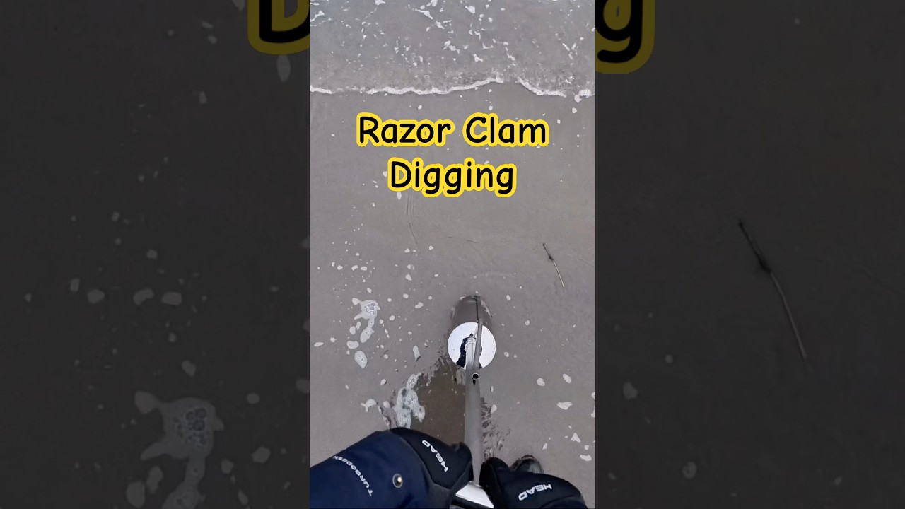 Razor Clam Digging at PNW 