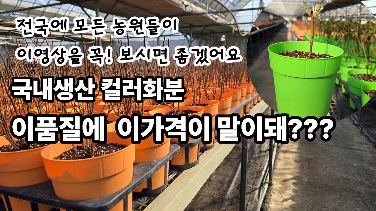 화분 품질은 최고! 가격은 최저!