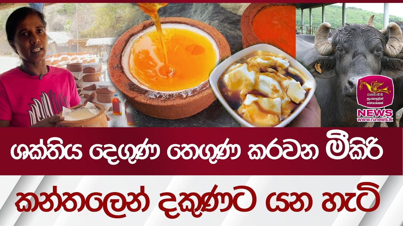 ශක්තිය දෙගුණ තෙගුණ කරවන මීකිරි - කන්තලෙන් දකුණට යන හැටි | Curd Nutritionist | Rupavahini News