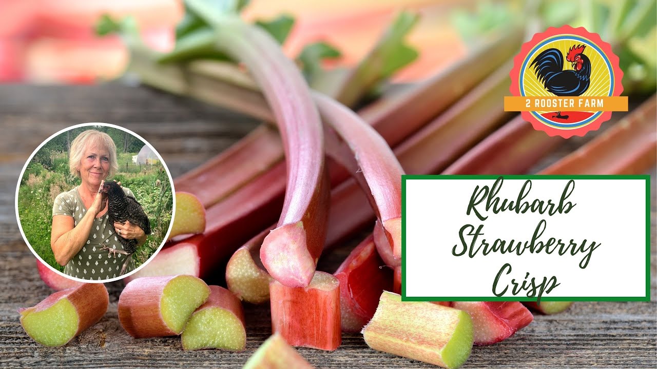 Rhubarb Strawberry Crisp ▷A must do recipe the whole family will enjoy!