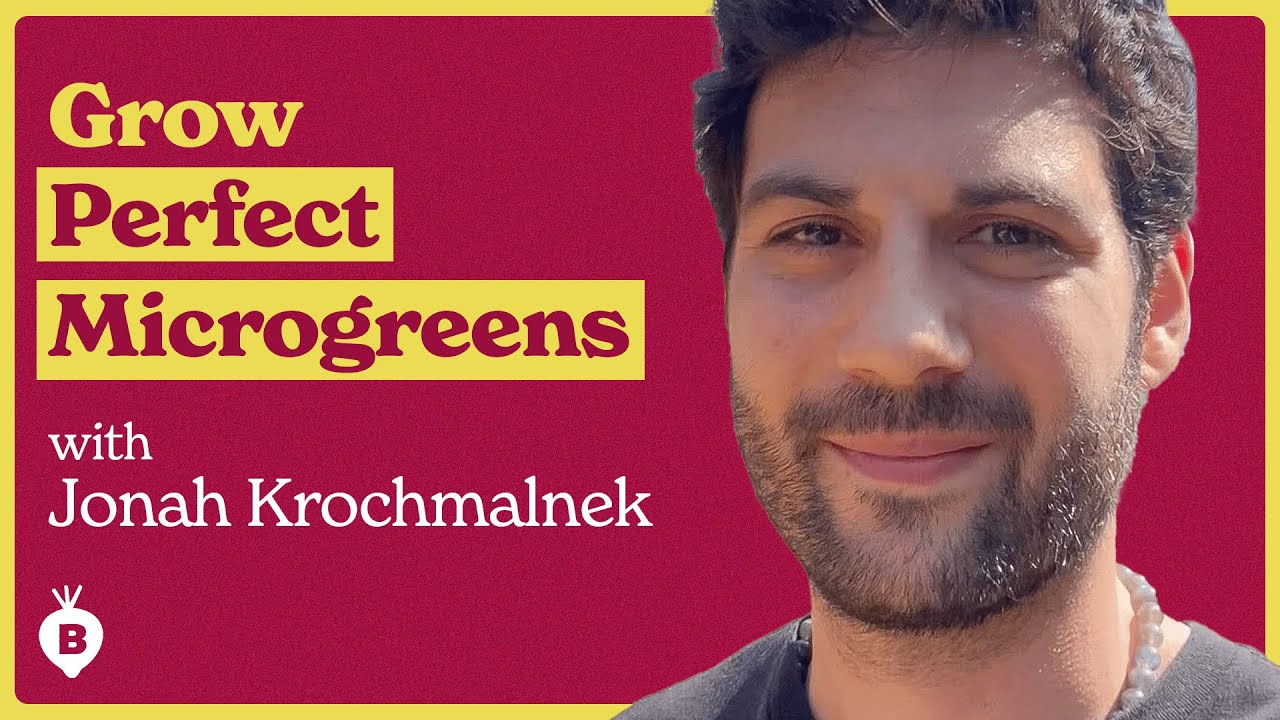The Art Of Microgreens with Jonah Krochmalnek | The Beet