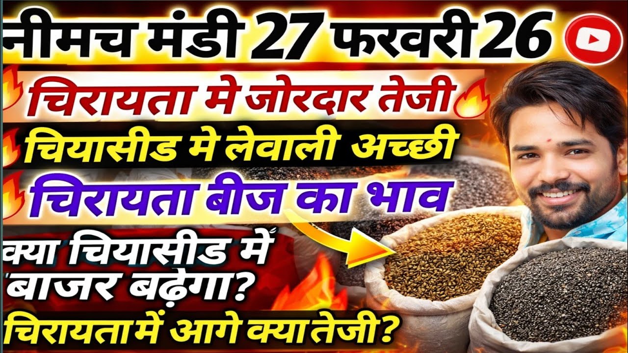 नीमच मंडी भाव। चिया भाव। नया किनोवा का भाव। चिरायता का भाव। Neemuch Mandi bhav today chirayata bhav