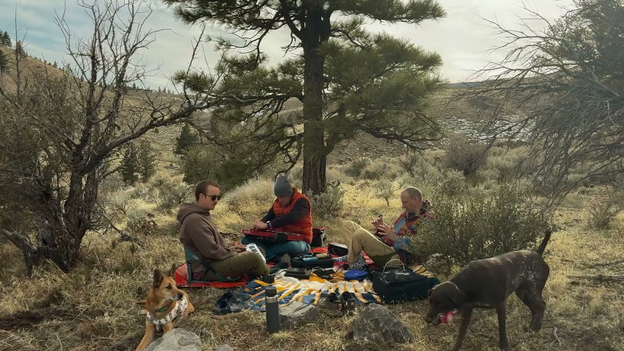 Cold Heat for a Tree -- improvisation with Gaetano and Kayuke 2-7-25