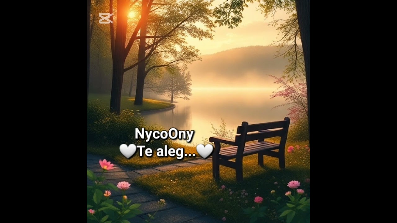 NycoOny-Te aleg...