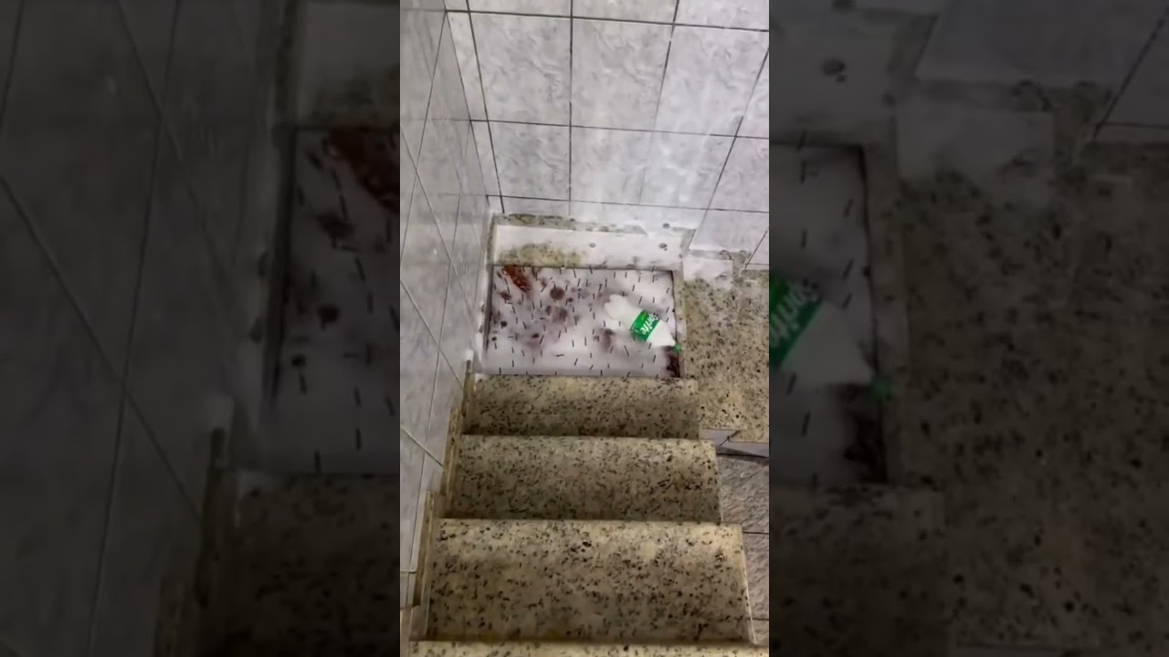 Garrafas satisfat&oacute;rias