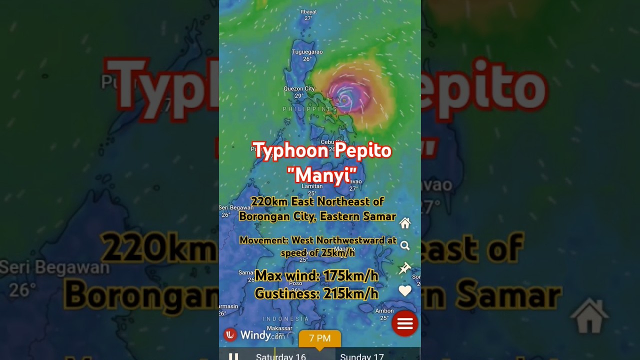 Weather update. Typhoon Pepito 