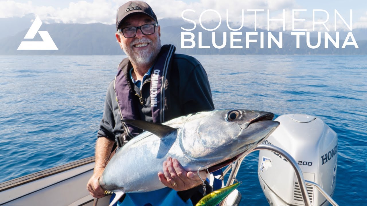 Catching Southern Bluefin Tuna and Free Diving in Fiordland, New Zealand