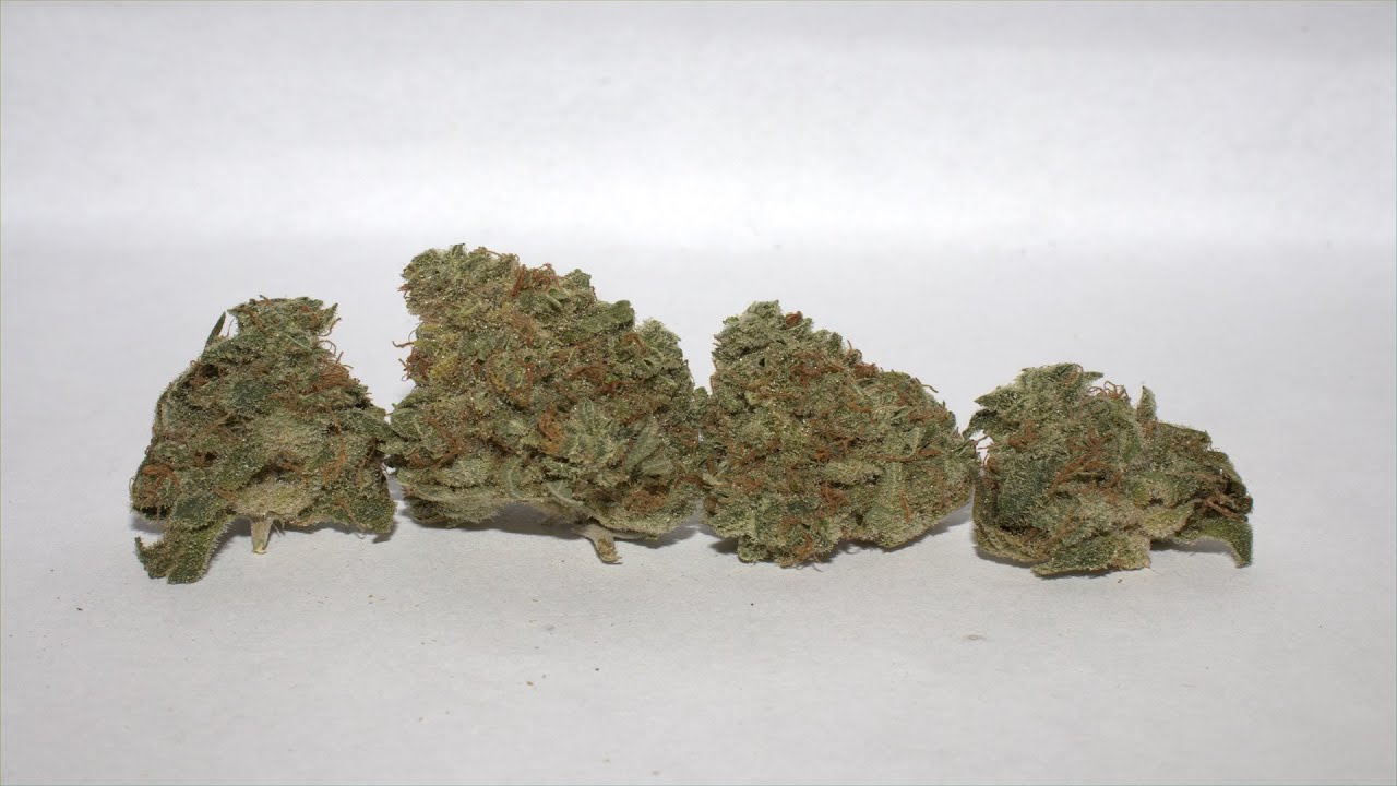 Strain Review - Kryptonite Kush by Canuk Seeds