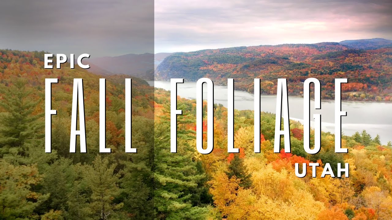 Beautiful FALL COLORS in Utah