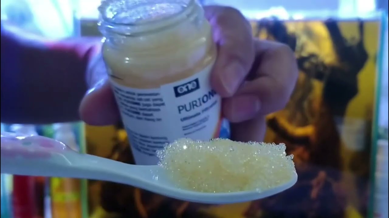 Cara menjernihkan air aquarium dari zat tanin kayu