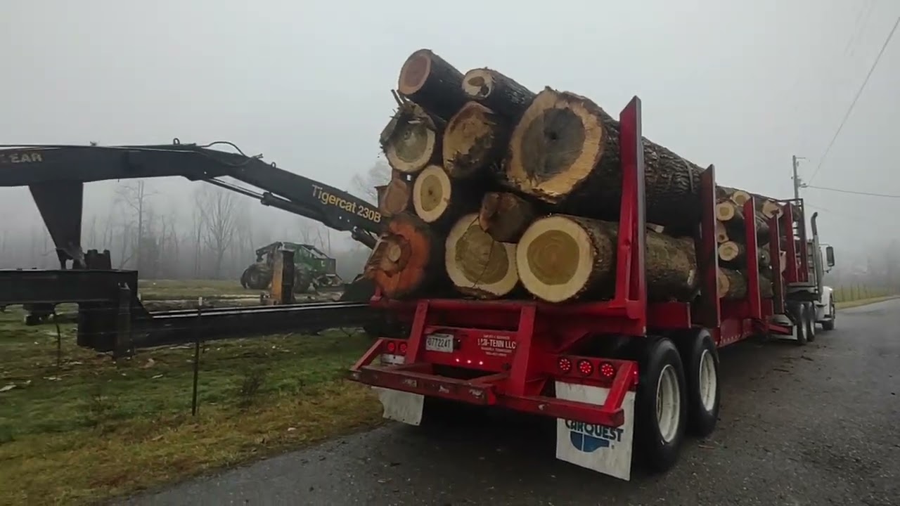 Грязно, туманно, но у нас всё ещё две хорошие партии дров.