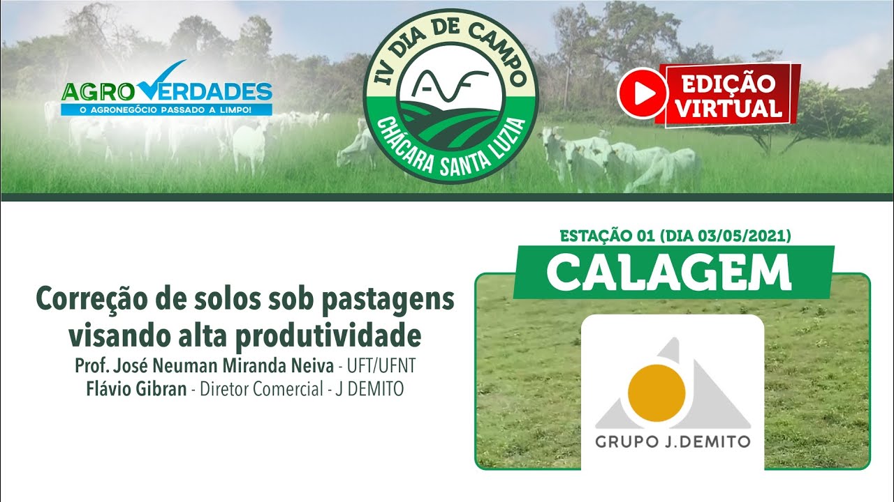 Uso da calagem em pastagens