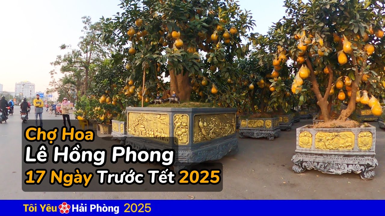 Chợ hoa Tết 2025 (trước 17 ngày ) Đường Lê Hồng Phong ở Hải Phòng