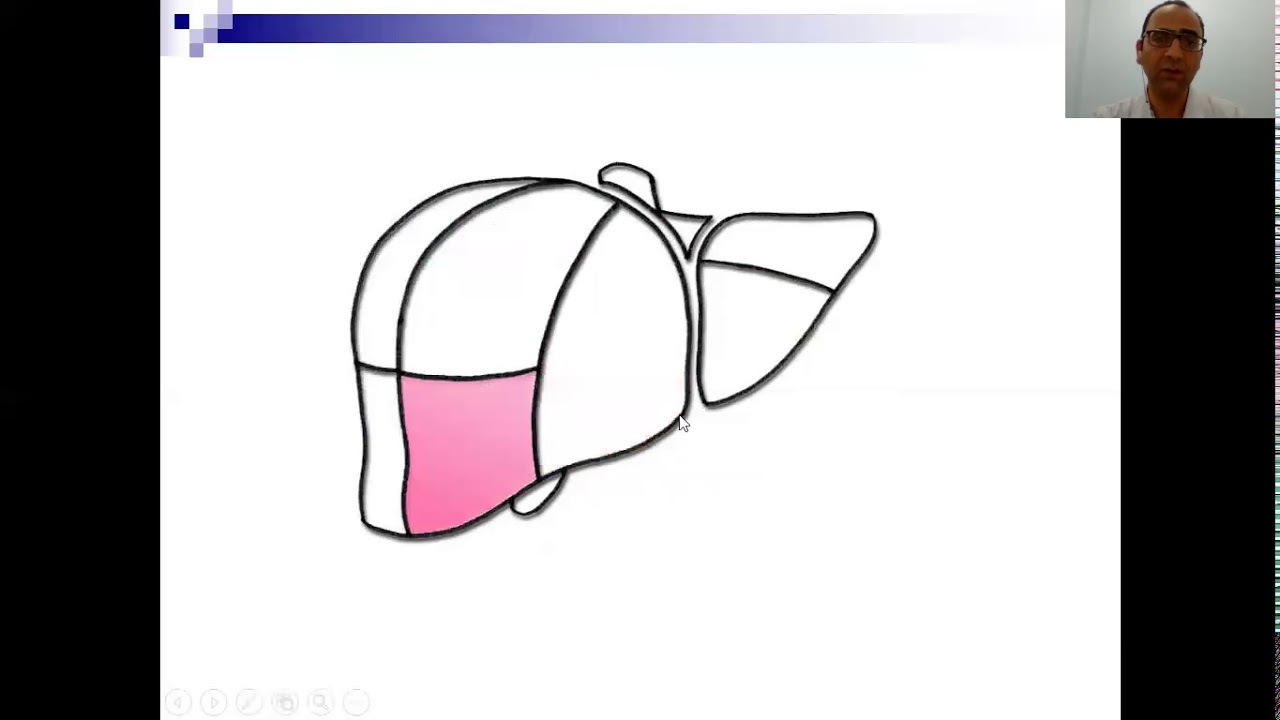 segmentation hépatique