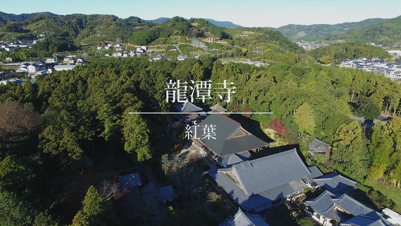 龍潭寺（遠州の古刹・井伊直虎・井伊家菩提寺）ドローン撮影 紅葉編