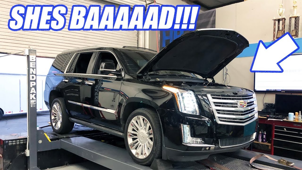 My WIFES Escalade Goes Back On The Dyno With The New FORGED Motor! Will It Be Enough Power For Her?