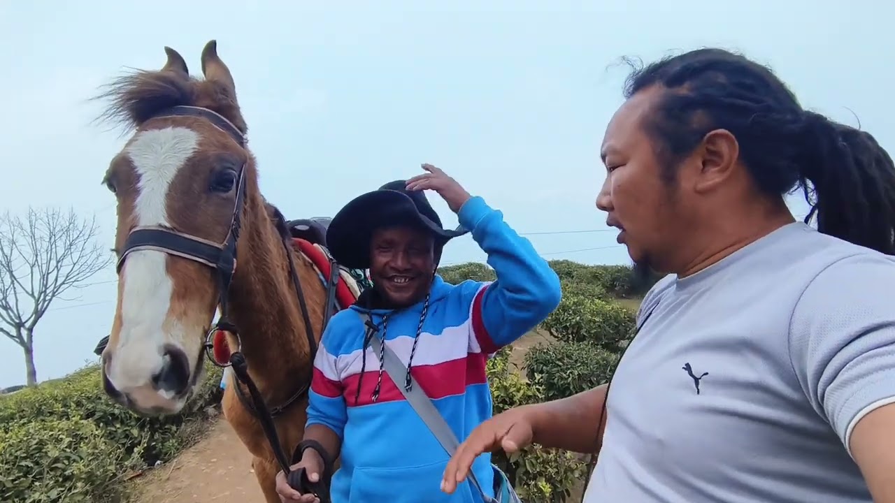 गुम्बा डारा 🤣❤️🙏🏻🤘