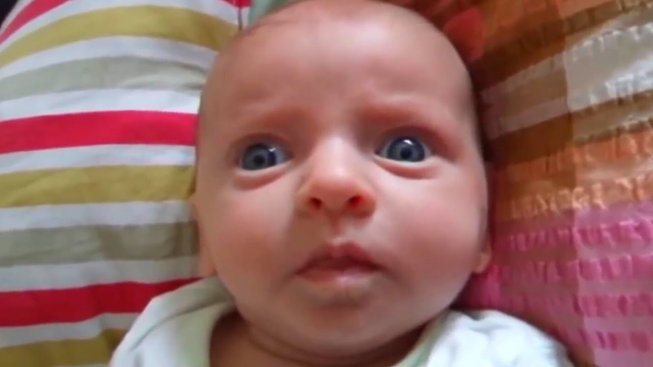 Funny Cute Baby Videos Compilation 2016 - HD - 1