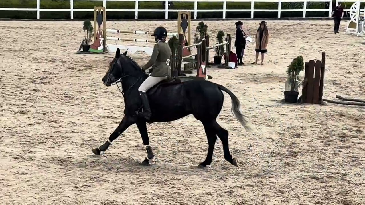 Tansyfield Darcy sales video 