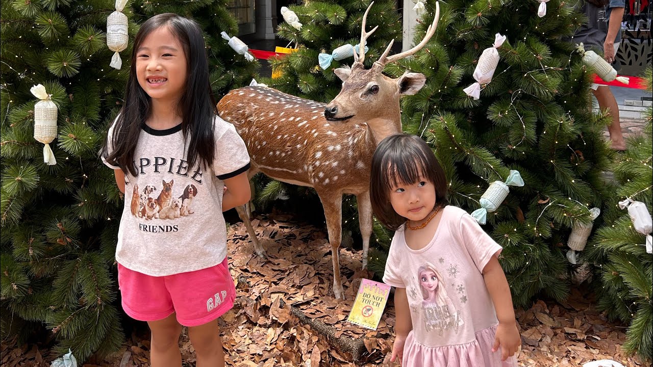 Exotic Pet Island at Paris Van Java
