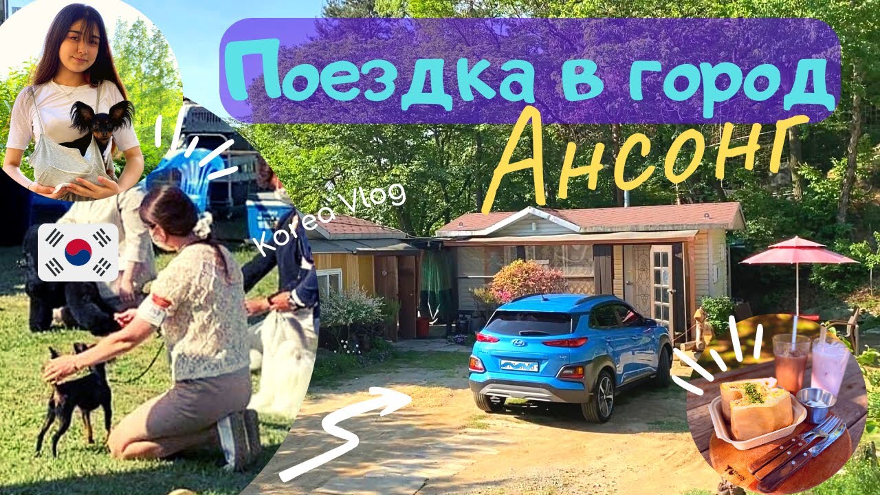 Международная выставка собак г.Ансонг/Кафе на природе/Наш ночлег в деревне/Part 1/KOREA VLOG