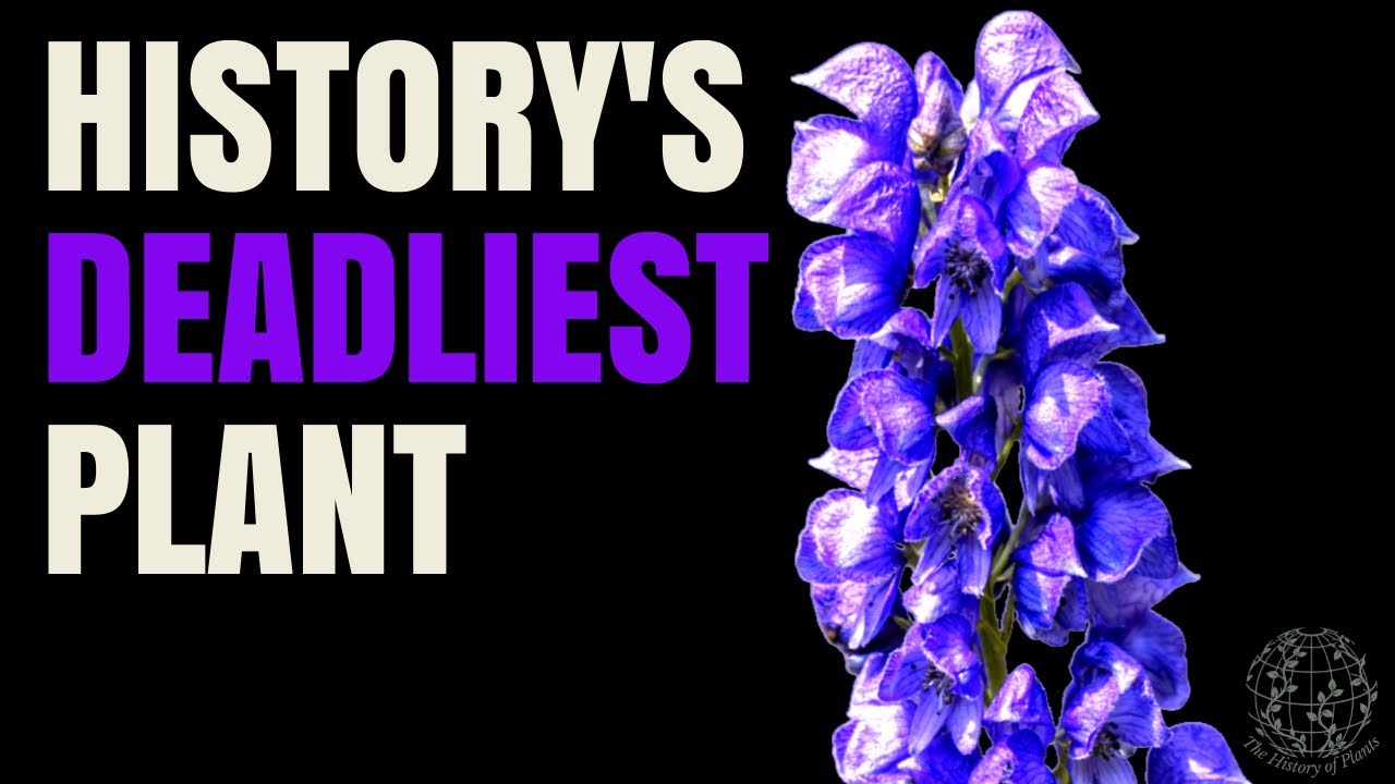The Deadliest Plant in Your Garden?