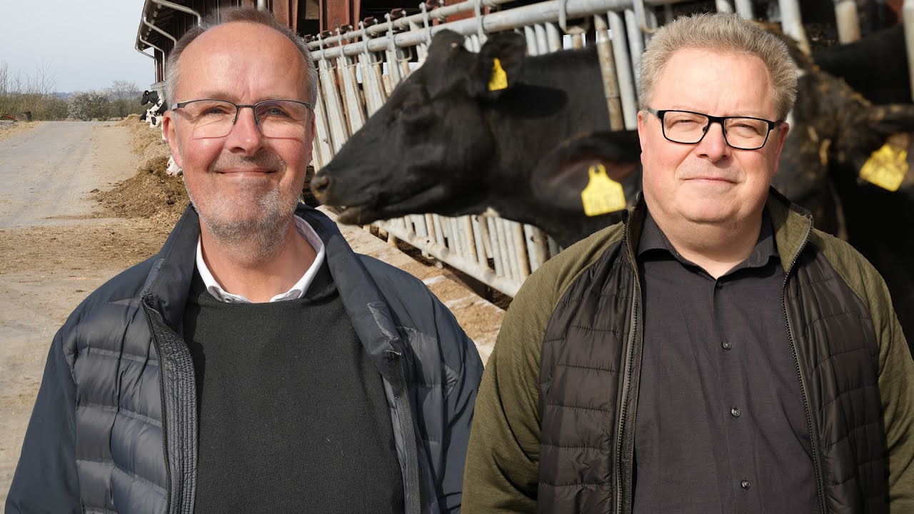 Den gode forberedelse ved salg af landbrug
