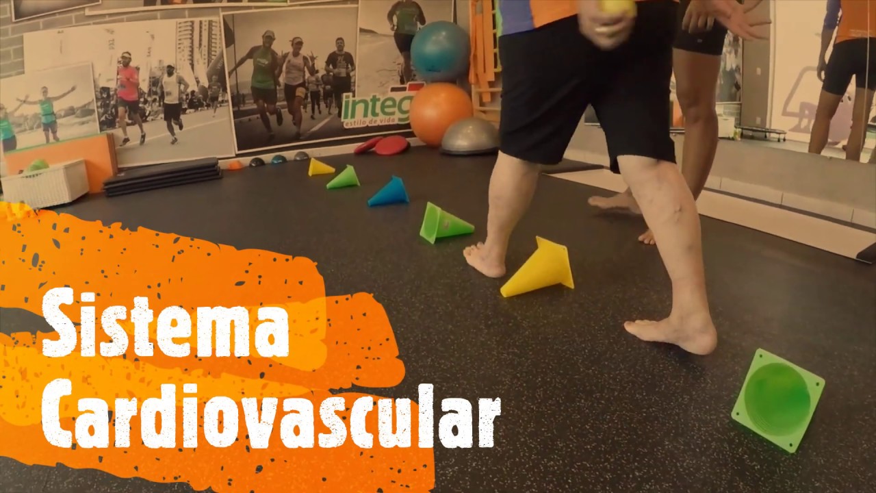 Benefícios do Treinamento Funcional para Terceira Idade - Sistema Cardiovascular