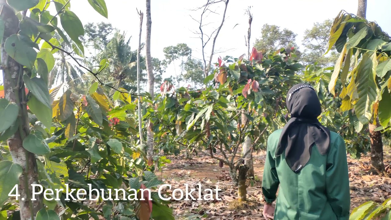 SUMBER DAYA ALAM & POTENSI EKONOMI DESA SUKARAJA