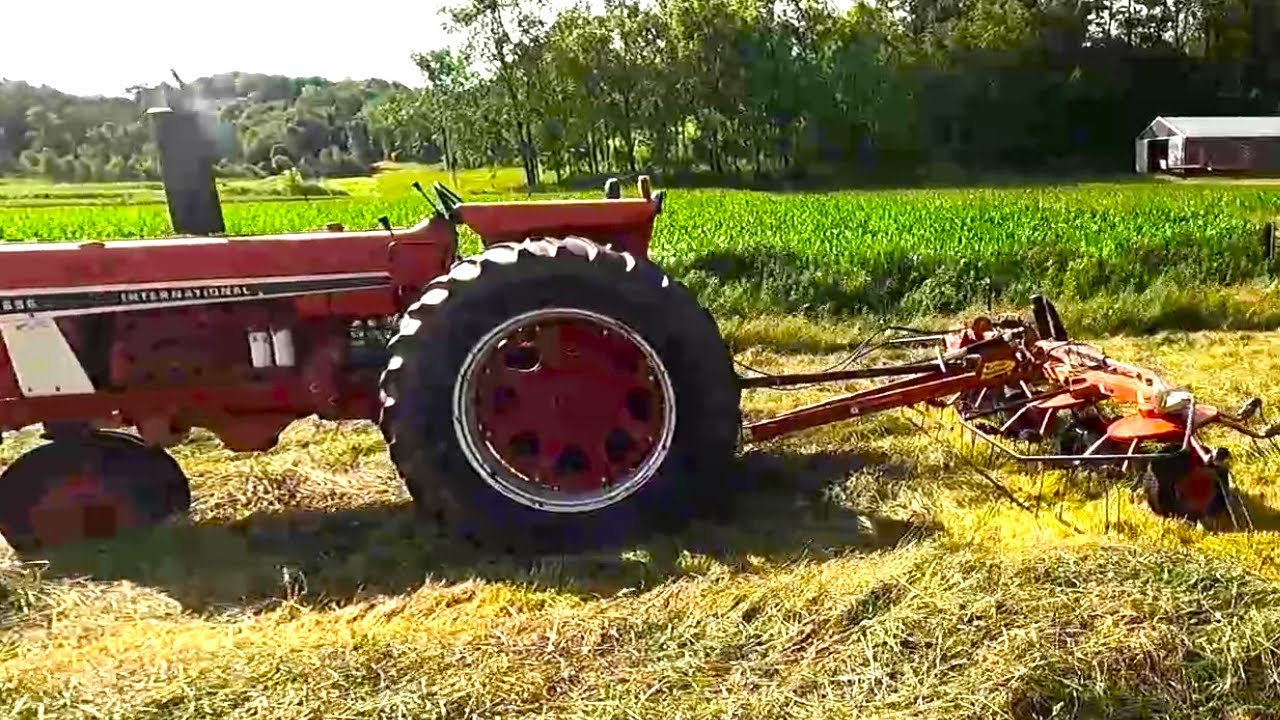 Tedding Hay With The 686 International Tractor and Pequea Tedder! (2024 Hay Season)