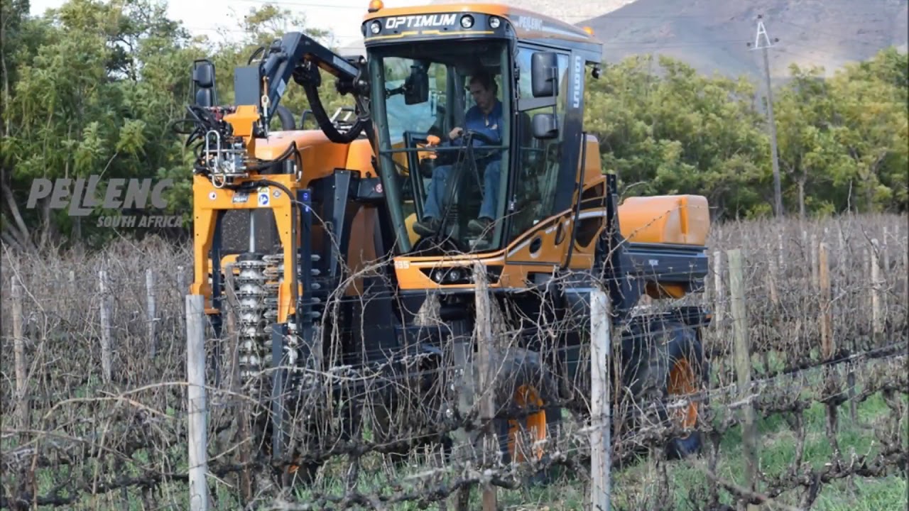 2017 Pruning with Pellenc Optimum in Robertson - South Africa