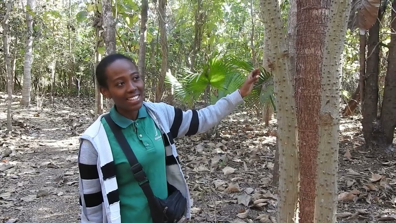 Madagascar: Zazamalala