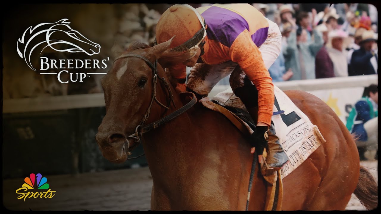 Betting the 2025 Breeders' Cup: Sprint | NBC Sports
