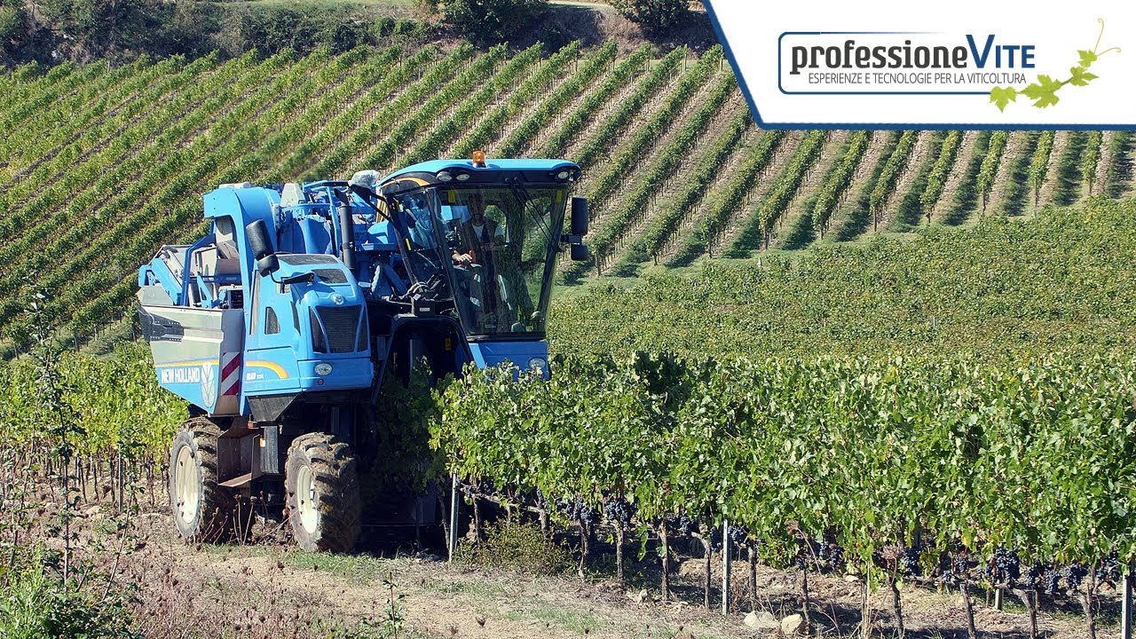 ProfessioneVite | Vendemmia selettiva: Braud 9090L con sistema EnoControl | Tenute Ruffino