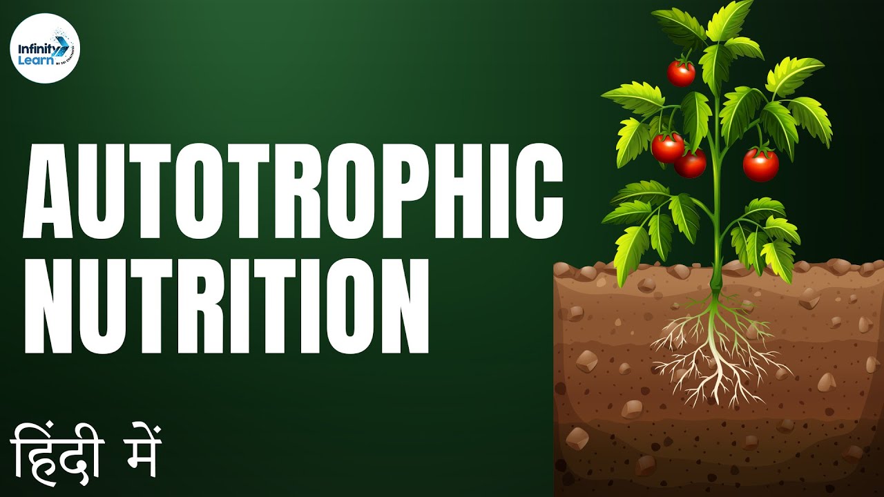 Life Processes - Lesson 02 | Autotrophic Nutrition - in Hindi (हिंदी में ) | Infinity Learn