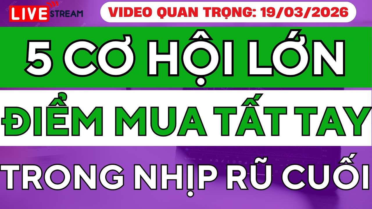 5 CỔ PHIẾU CÓ CƠ HỘI LỚN VỚI ĐIỂM MUA TẤT TAY TRONG NHỊP RŨ CUỐI - VIDEO CỰC QUAN TRỌNG