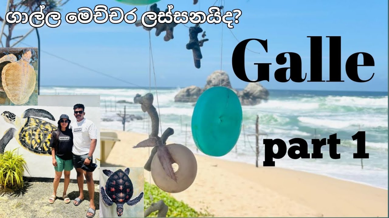 Trip to galle part 1|ගාලු පුරේ සිරි 🐢🦐🌊#love #lifestyle #travelvlog #lovely #galle #viralvideos 🪁