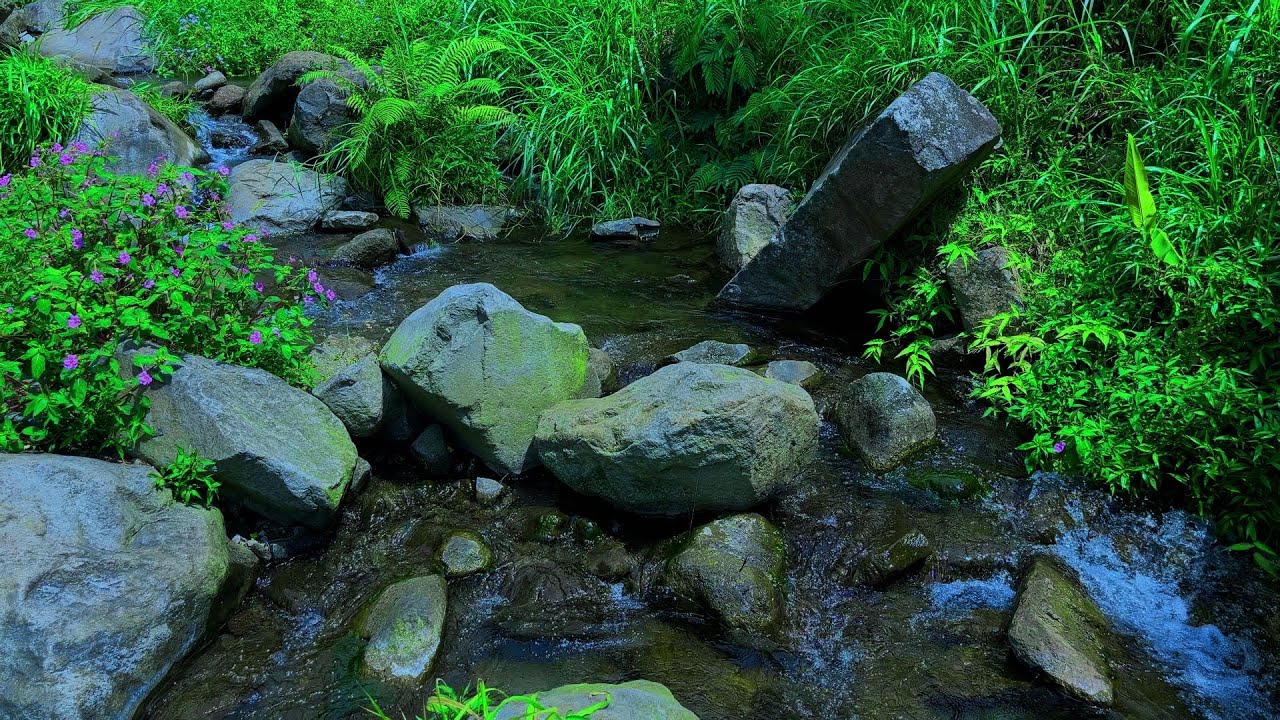 Peaceful Sound of Mountain Stream. Relaxing Water Flow and Nature White Noise for Sleep
