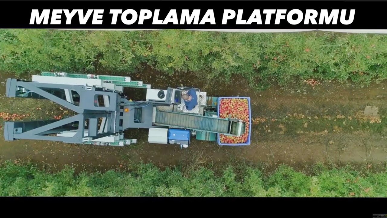 Meyve Hasadını Kolaylaştıran Toplama ve Budama Platformu | Kolayca Kasalara Doldurun!