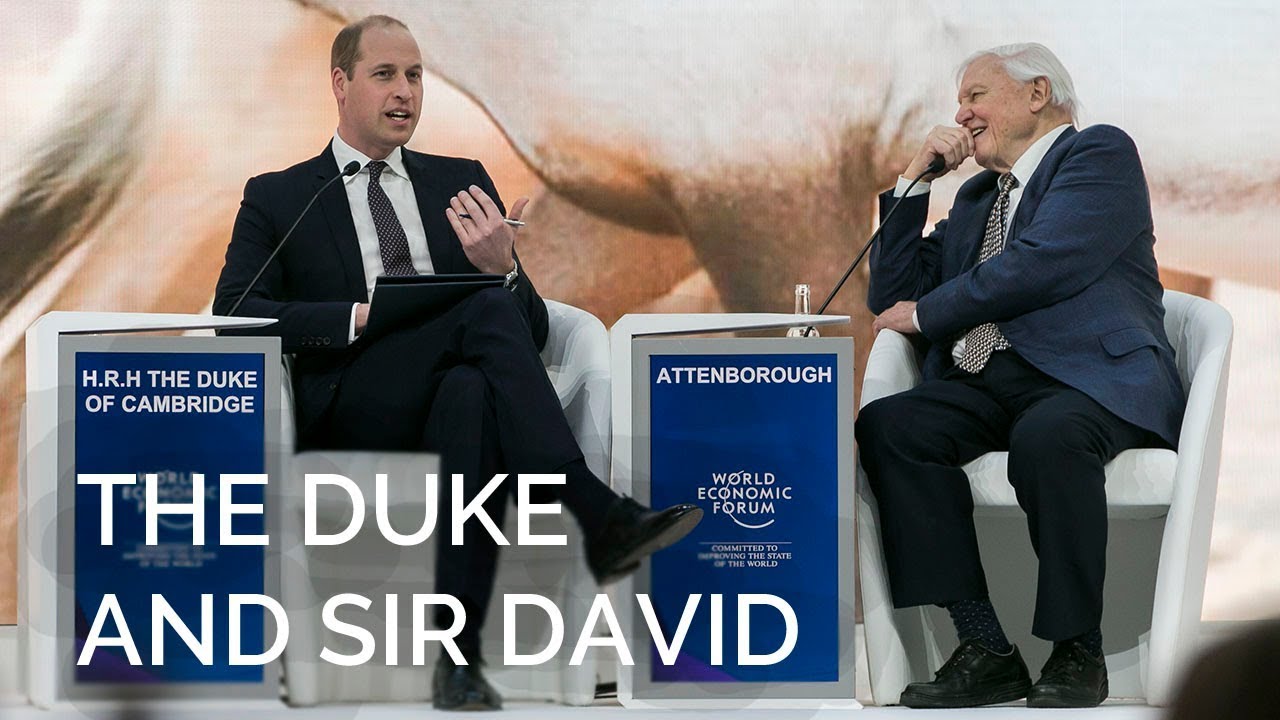 The Duke of Cambridge in conversation with Sir David Attenborough