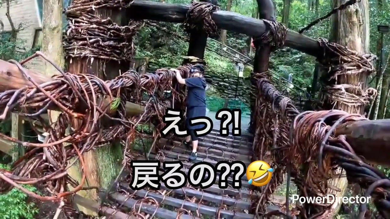 徳島県のかずら橋へ