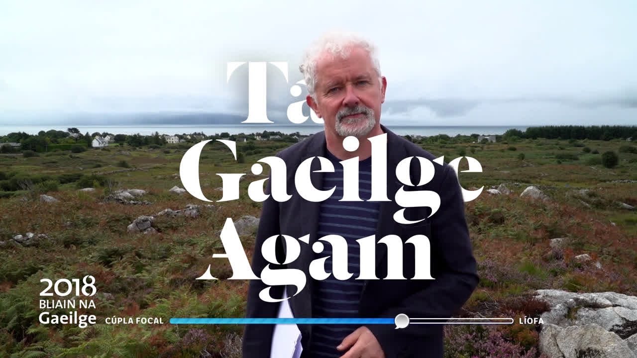 Bliain na Gaeilge - Tadhg Mac Dhonnagáin