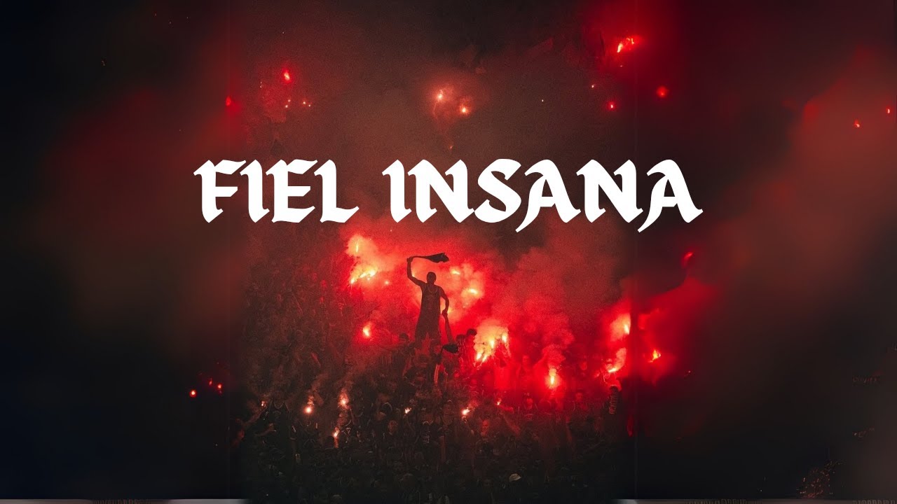 🔥 A FIEL ENLOUQUECEU! A MAIOR FESTA DA HISTÓRIA DO PAULISTÃO!