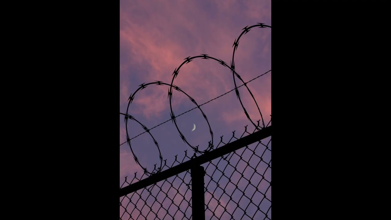 [FREE] Nas × Storytelling × Freestyle Type Beat 