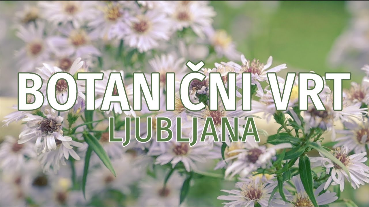 BOTANIČNI VRT Ljubljana | Videograf Žiga MIKLIČ/FOTOSOBA.SI