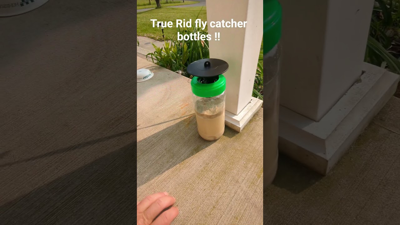 True Rid Fly catcher bottles $20.00 bux gets you 3 of them currently on Amazon