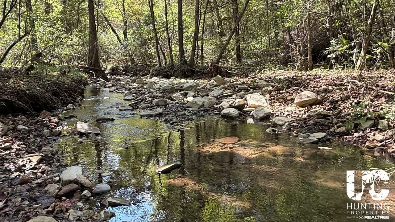 🌲 NEW LISTING ALERT — 180 Acres of Ozark Forest! 🌲