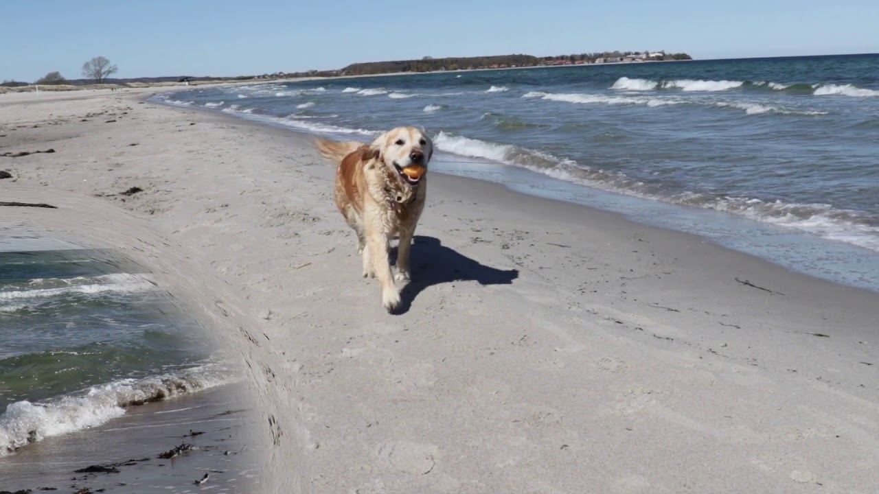 Ostseestrand Sehlendorf 22.04.2020