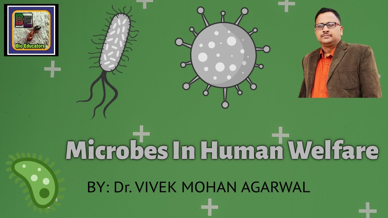 Microbes in Human Welfare