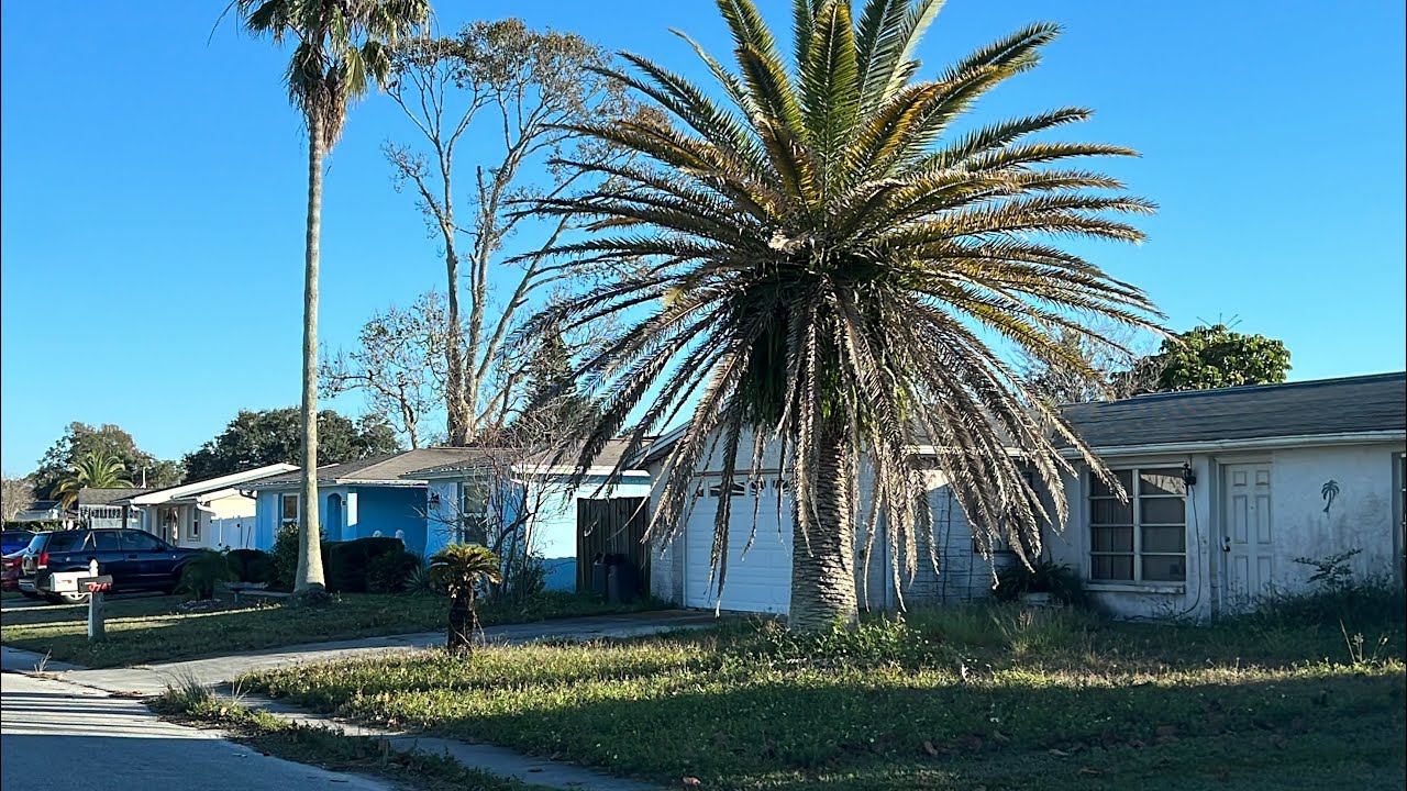&ldquo;Jasmine Estates&rdquo; Pasco County - Affordable And Crappy 👌